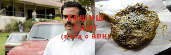 PSILOCYBIN Алзамай