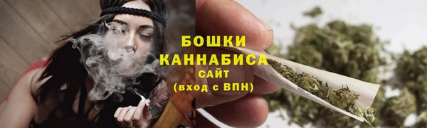 PSILOCYBIN Алзамай