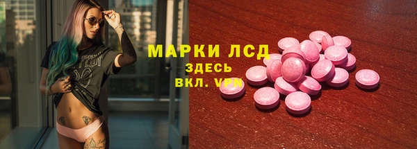 PSILOCYBIN Алзамай