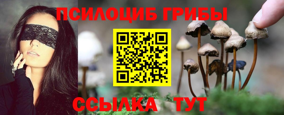 Галлюциногенные грибы мицелий  Вход с VPN  Галлюциногенные грибы прущие грибы  Кулебаки 